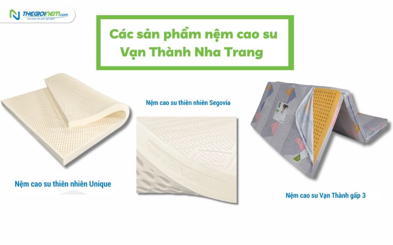 Địa chỉ cửa hàng bán nệm cao su Vạn Thành Nha Trang | Thegioinem.com