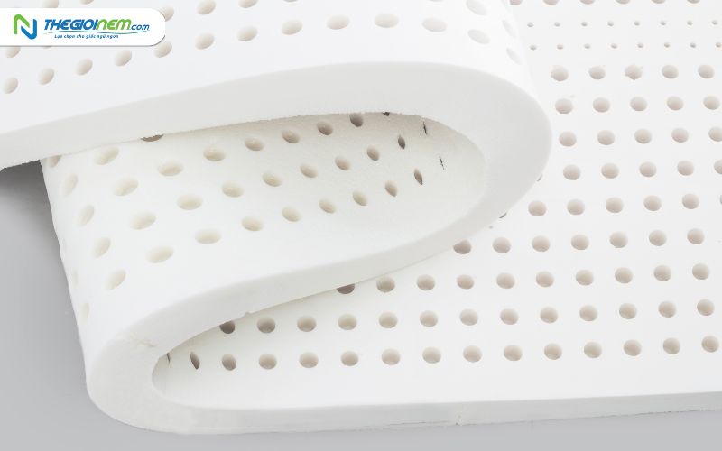 Cửa hàng bán nệm cao su giá rẻ tại Long An | Thegioinem.com