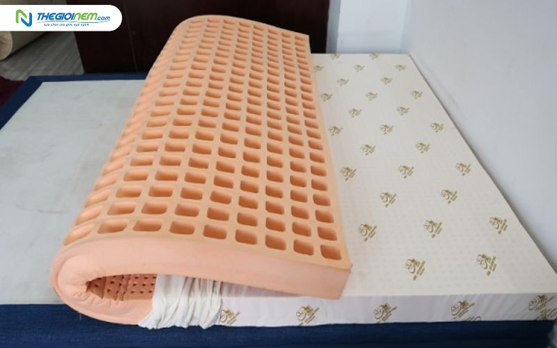 Cửa hàng bán nệm cao su giá rẻ tại Long An | Thegioinem.com