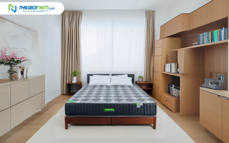 Nệm lò xo liên kết TATANA Liza
