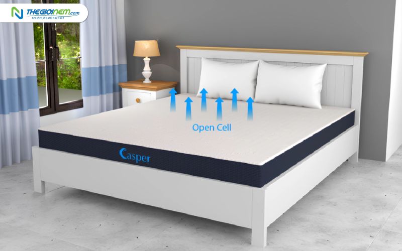 Cửa hàng bán nệm cao su nhân tạo giá rẻ tại Long An