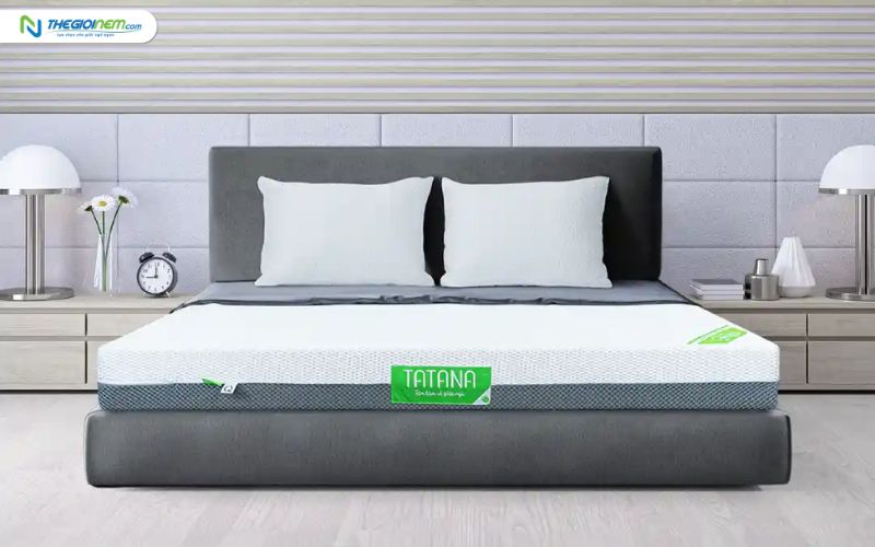 Cửa hàng bán nệm cao su nhân tạo giá rẻ tại Long An