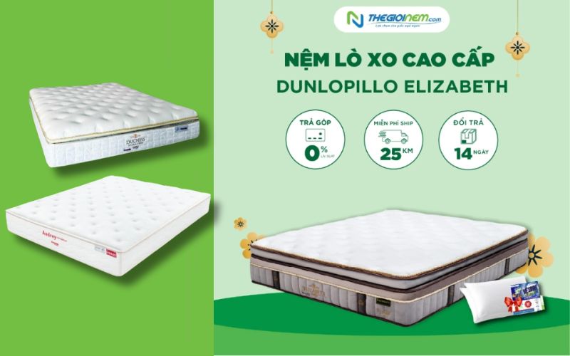 Đại Lý Bán Nệm Lò Xo Dunlopillo Cao Cấp Tại Long An