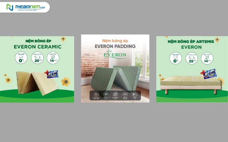 Đại Lý Nệm Everon Chính Hãng Giá Rẻ Tại Long An