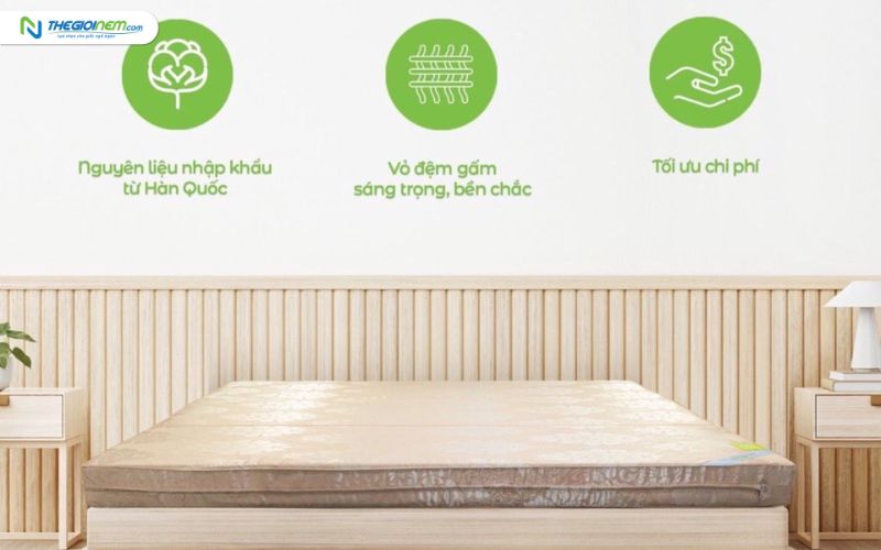 Đại Lý Nệm Everon Chính Hãng Giá Rẻ Tại Long An