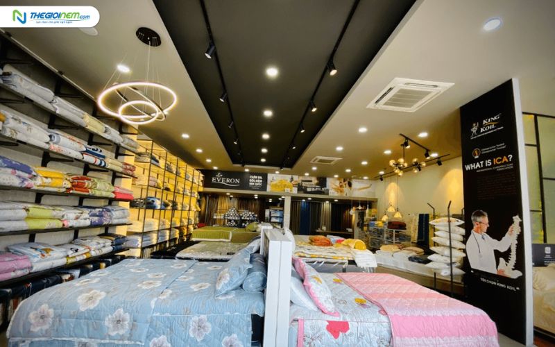 Đại Lý Nệm Everon Chính Hãng Giá Rẻ Tại Long An