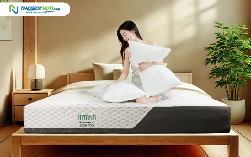 Nệm Foam TATANA Luna Cool