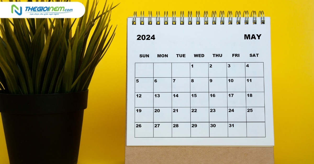 Tổng hợp những ngày lễ Dương lịch trong năm 2024