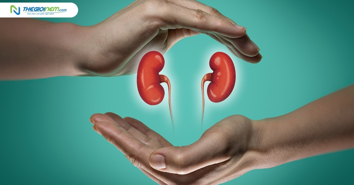 14 cách nhận biết thận khỏe hay yếu