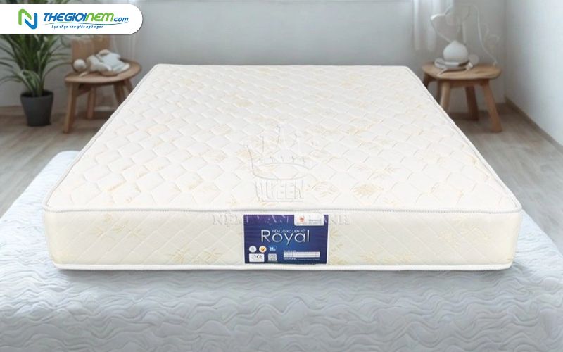 Đại Lý Nệm Vạn Thành Chính Hãng Tại Bình Thạnh TPHCM