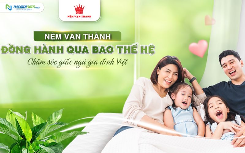 Đại Lý Nệm Vạn Thành Chính Hãng Tại Bình Thạnh TPHCM