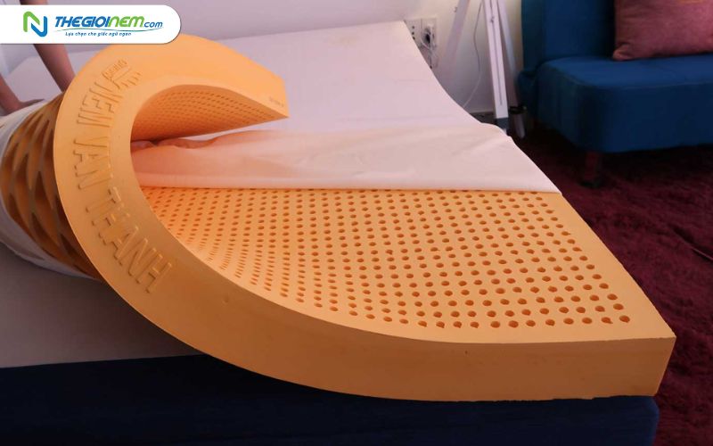 Đại Lý Nệm Vạn Thành Chính Hãng Tại Bình Thạnh TPHCM