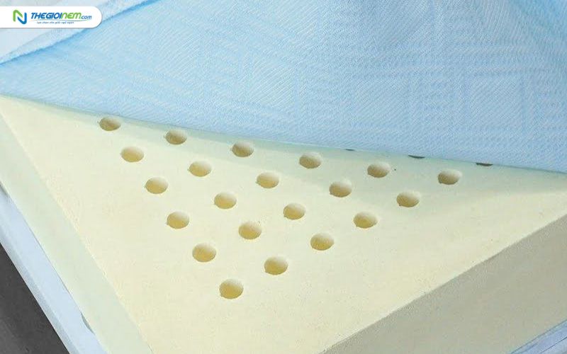 Mua nệm cao su trả góp tại Long An | Thegioinem.com