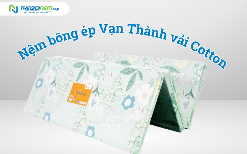 Nệm bông ép Vạn Thành vải Cotton