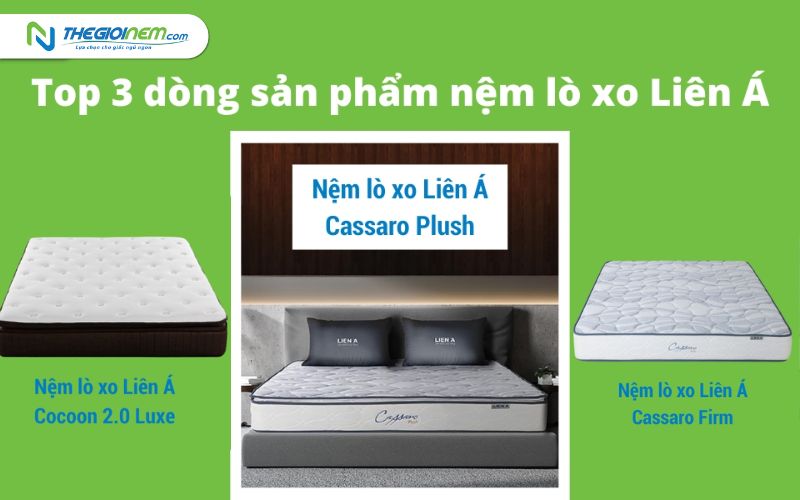 Nơi bán nệm lò xo Liên Á Nha Trang giá rẻ, uy tín | Thegioinem.com