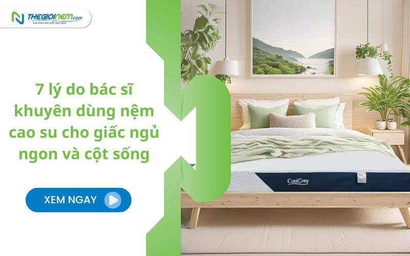 7 lý do bác sĩ khuyên dùng nệm cao su cho giấc ngủ ngon và cột sống khỏe