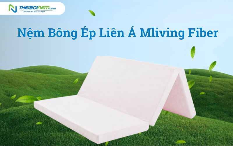 Nệm Bông Ép Liên Á Mliving Fiber