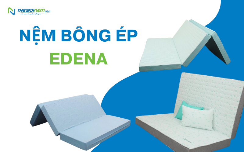 Nệm bông ép Edena