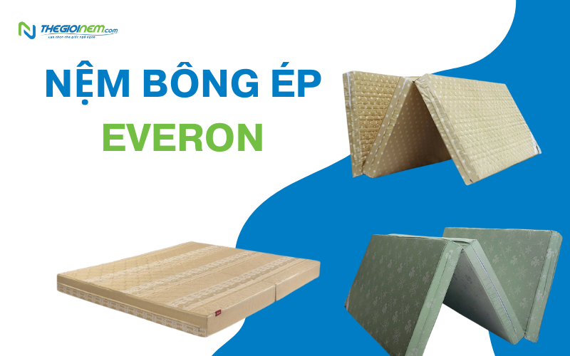 Nệm bông ép Everon
