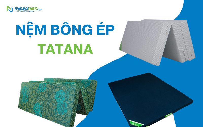 Nệm bông ép TATANA