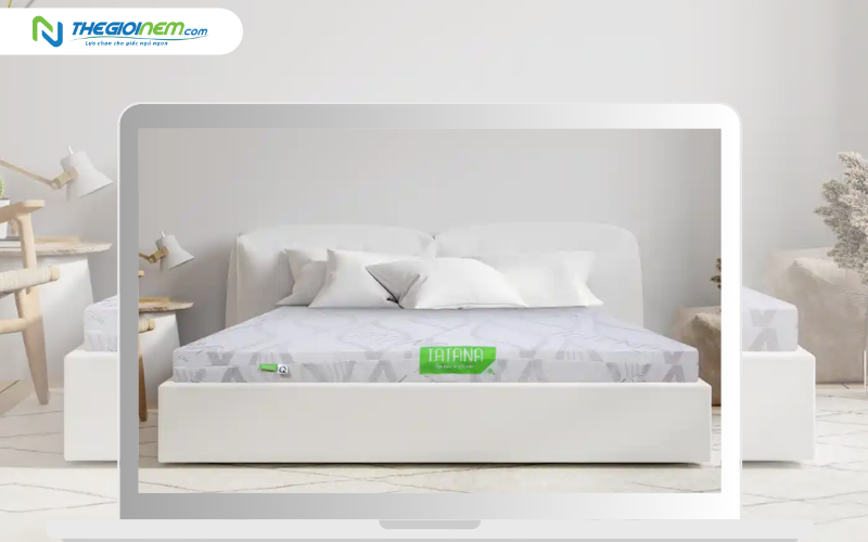 Nệm cao su thiên nhiên TATANA Standard