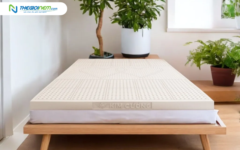 Nệm dày 5cm là gì