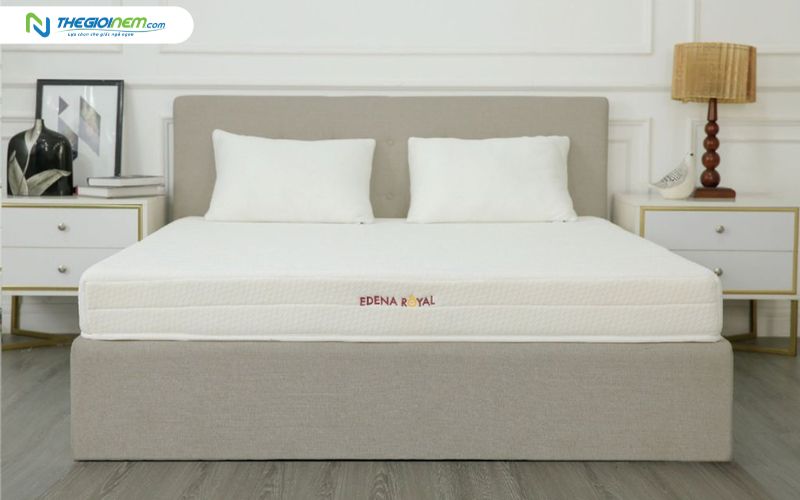 Nệm foam Edena