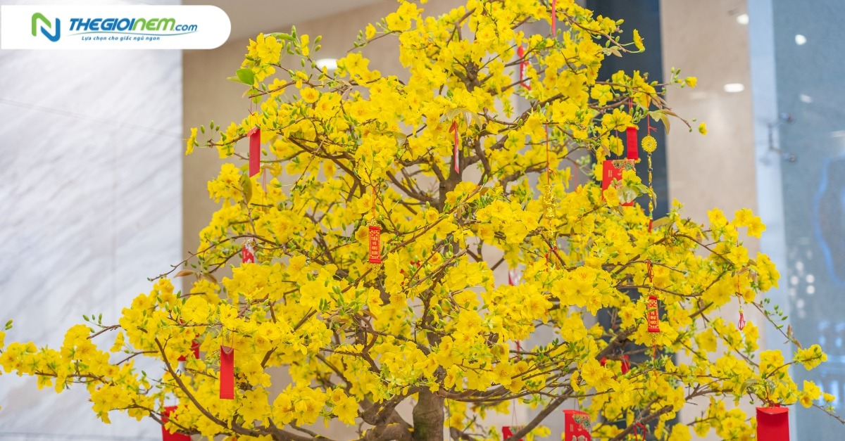 8 loại hoa cúng bàn thờ ngày Tết đẹp và ý nghĩa