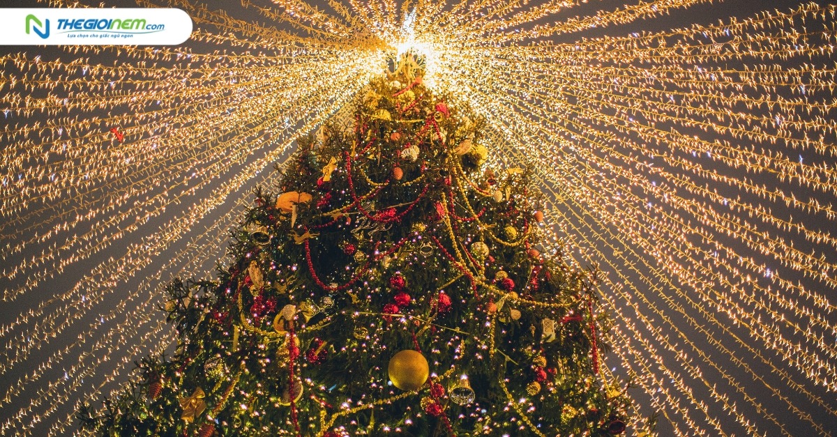 Cây thông Noel là gì? Ý tưởng trang trí cây thông Noel đẹp