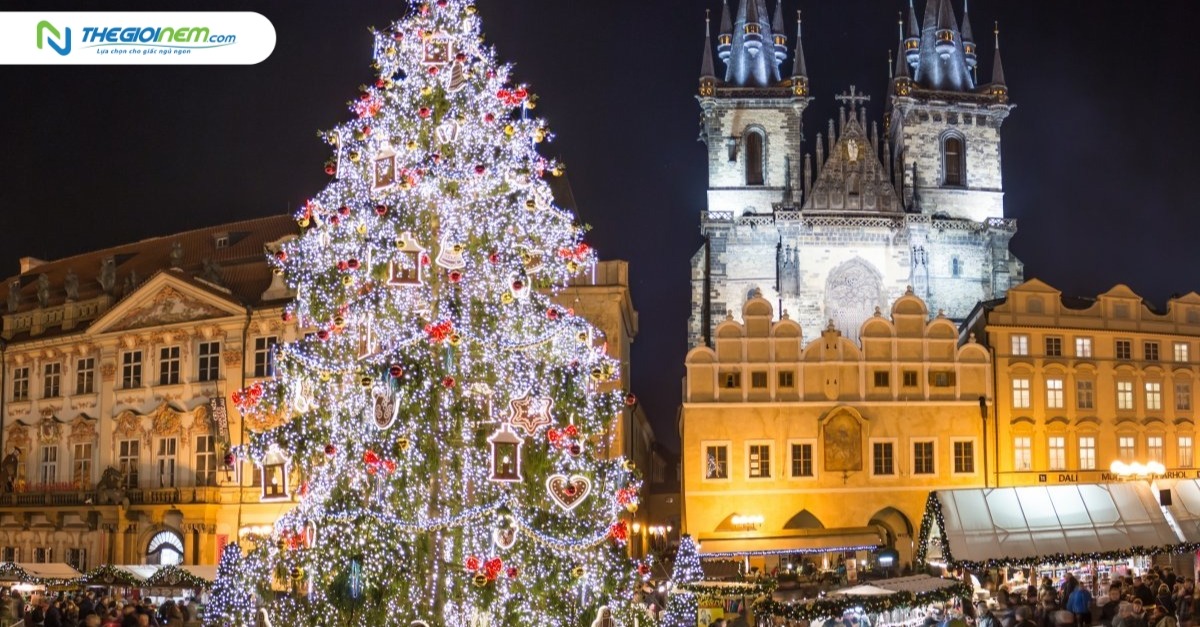 Cây thông Noel là gì? Ý tưởng trang trí cây thông Noel đẹp
