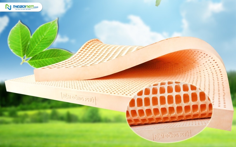 Cửa hàng bán nệm cao su Đồng Phú giá rẻ Đà Nẵng