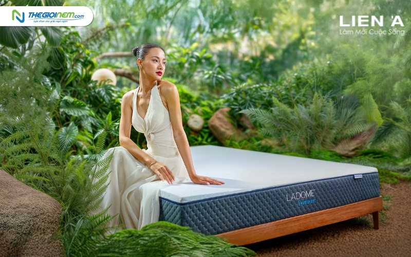 Đại lý nệm lò xo Liên Á Đà Nẵng chính hãng giá rẻ | Thegioinem.com