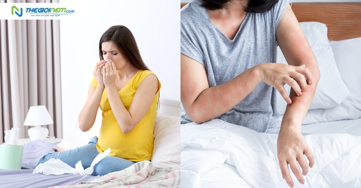 Dị ứng phòng ngủ là gì? Cách khắc phục hiệu quả