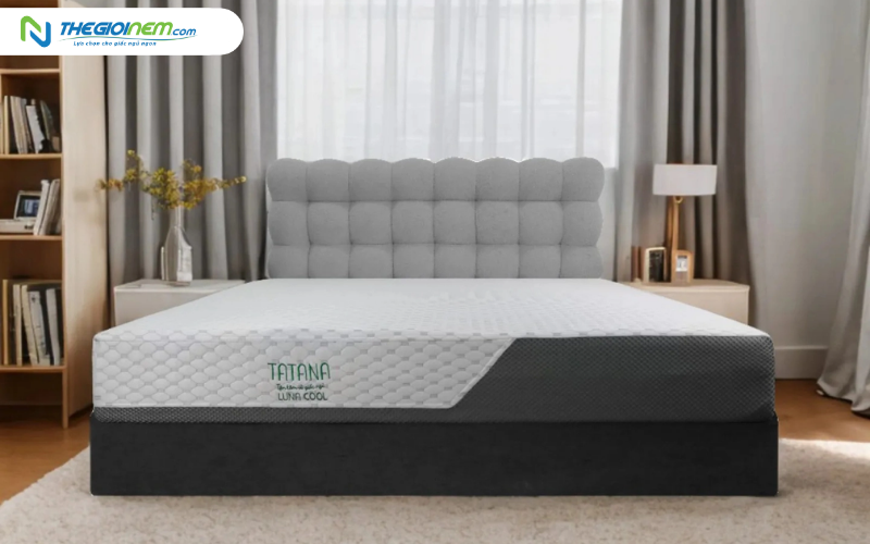 Nệm Foam TATANA Luna Cool