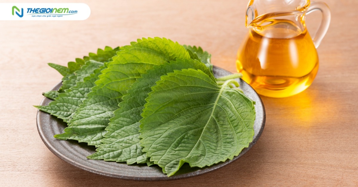 Top 8 loại trà thảo mộc giúp ngủ ngon