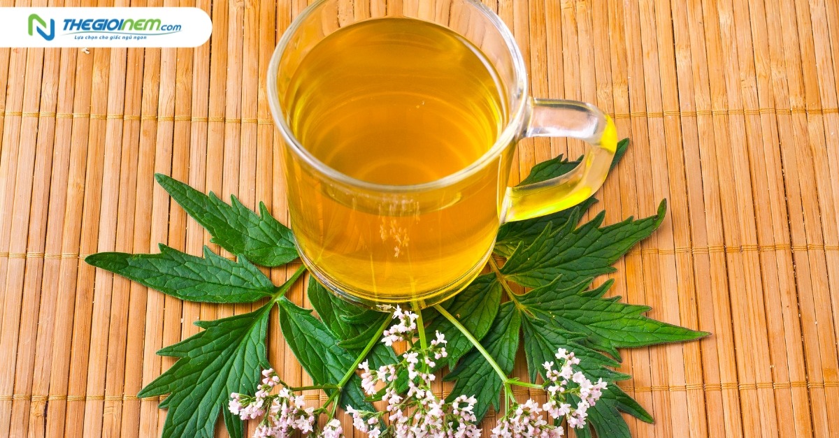 Top 8 loại trà thảo mộc giúp ngủ ngon