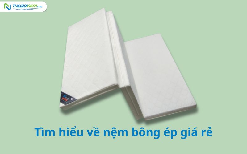 Cửa hàng bán nệm bông ép giá rẻ tại Củ Chi
