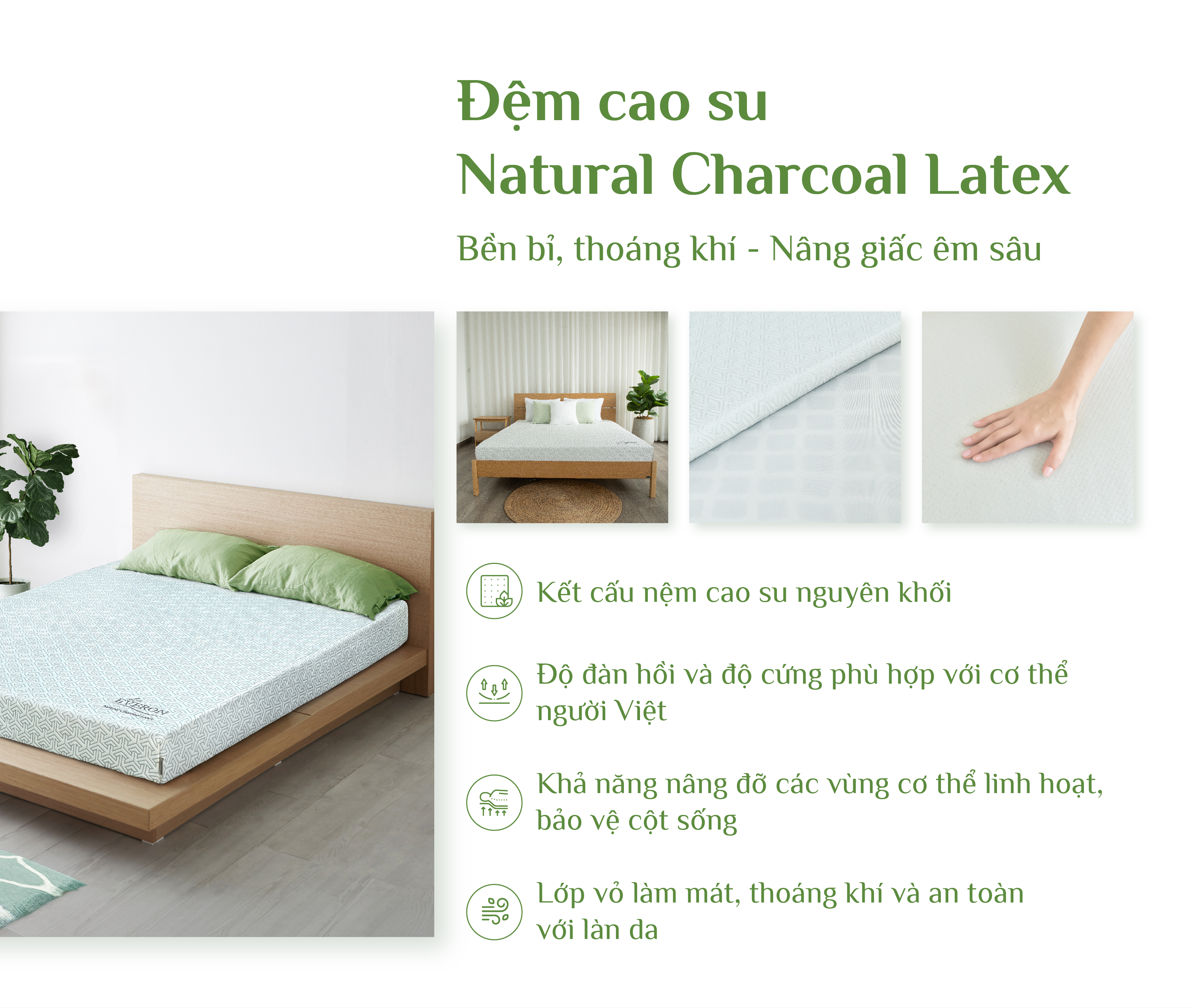 Nệm cao su Everon 1