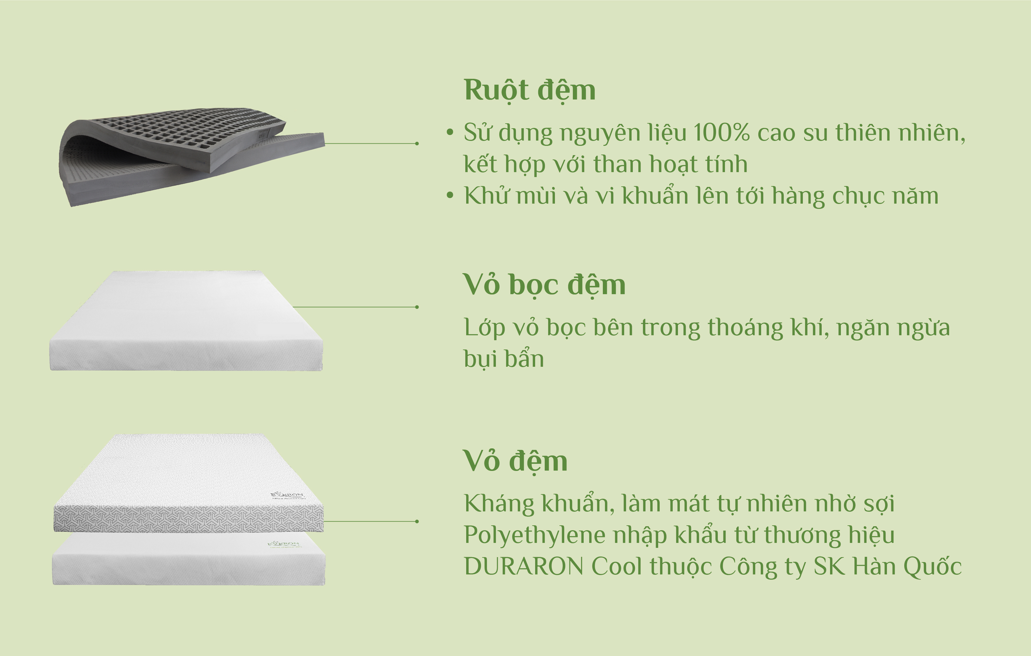 Nệm cao su Everon 2