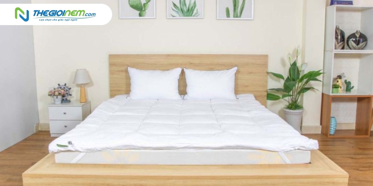 Ngủ trưa ở văn phòng nên chọn sản phẩm nào?