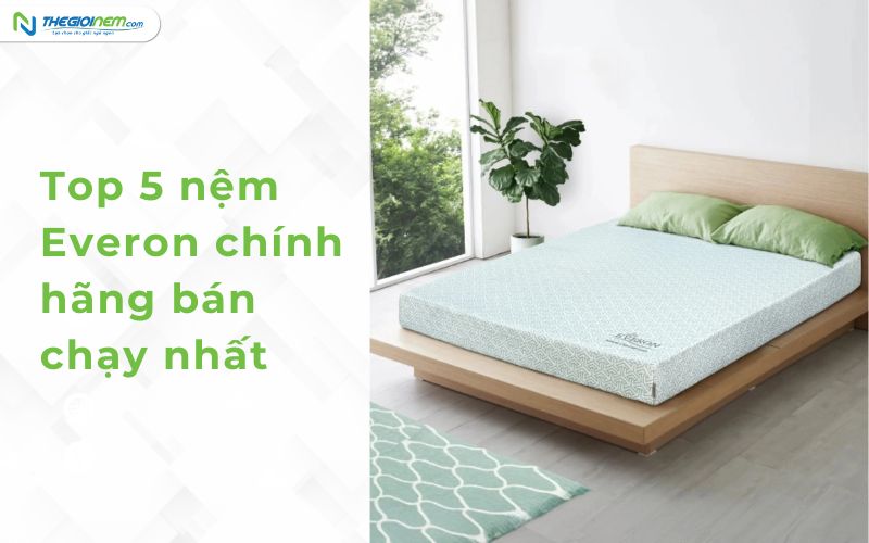 Top 5 nệm Everon chính hãng