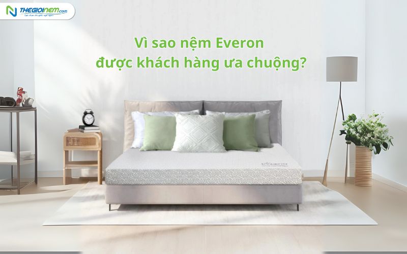 Vì sao nệm Everon được ưa chuộng