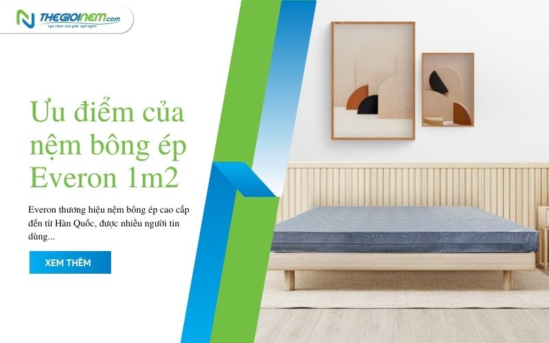Nệm bông ép Everon 1m2 giá bao nhiêu 2