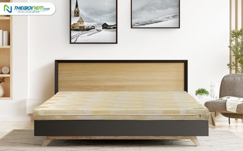 Nệm Bông Ép Everon 1m2 Giá Bao Nhiêu 3