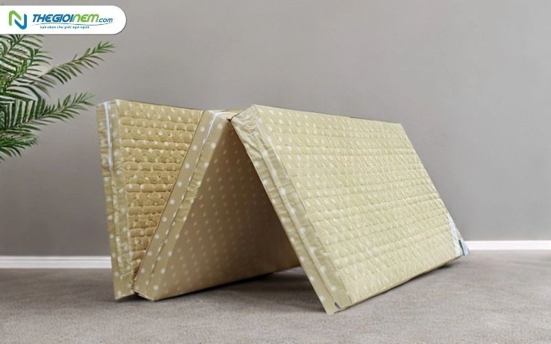 Nệm Bông Ép Everon 1m2 Giá Bao Nhiêu 4