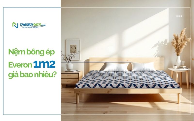 Nệm bông ép Everon 1m2 giá bao nhiêu 1