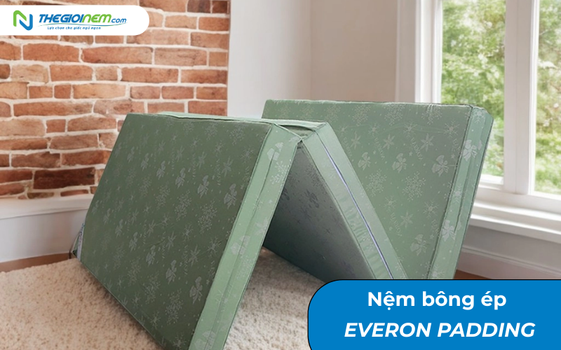 Nệm bông ép Everon Padding