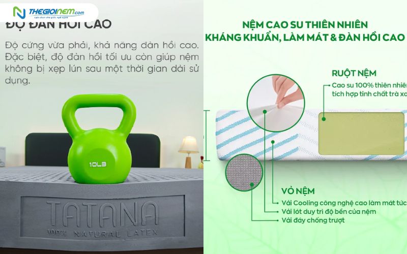 Nệm cao su kháng khuẩn của TATANA và Gummi