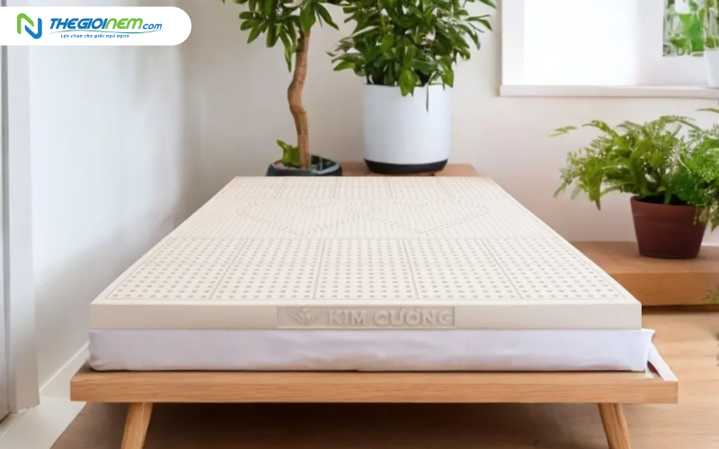 Nệm cao su thiên nhiên Kim Cương Purelux-3’Zone