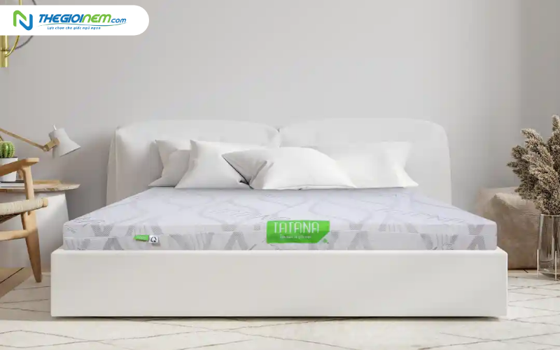 Nệm cao su thiên nhiên TATANA Standard